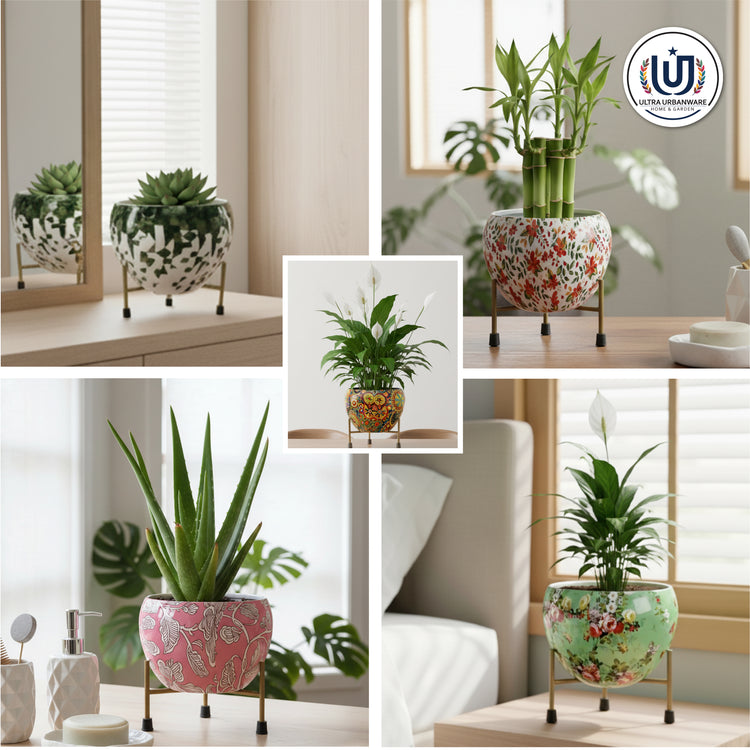 Pots & Planters