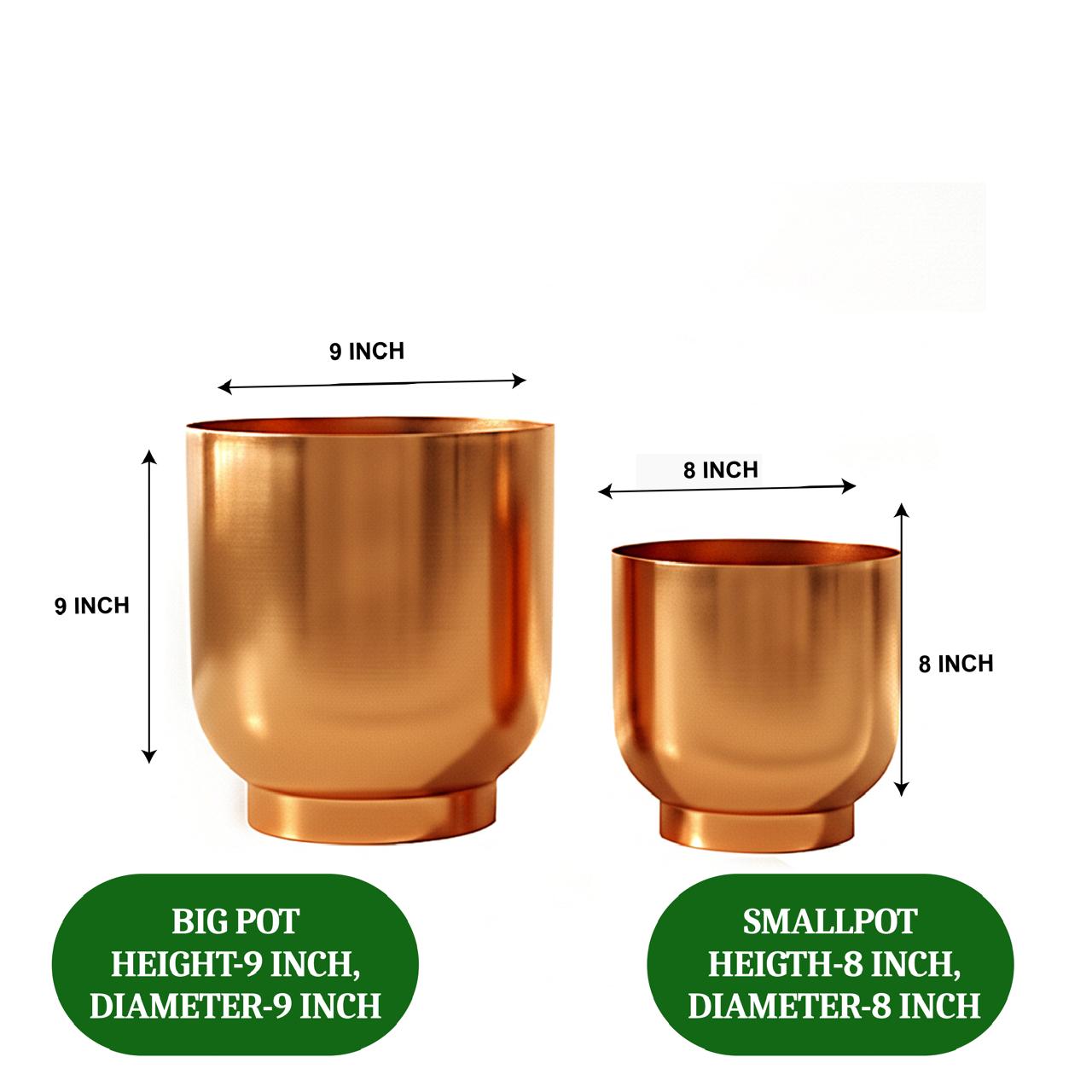 Decorative Metal Planter For Living Room/Balcony/Table Decor