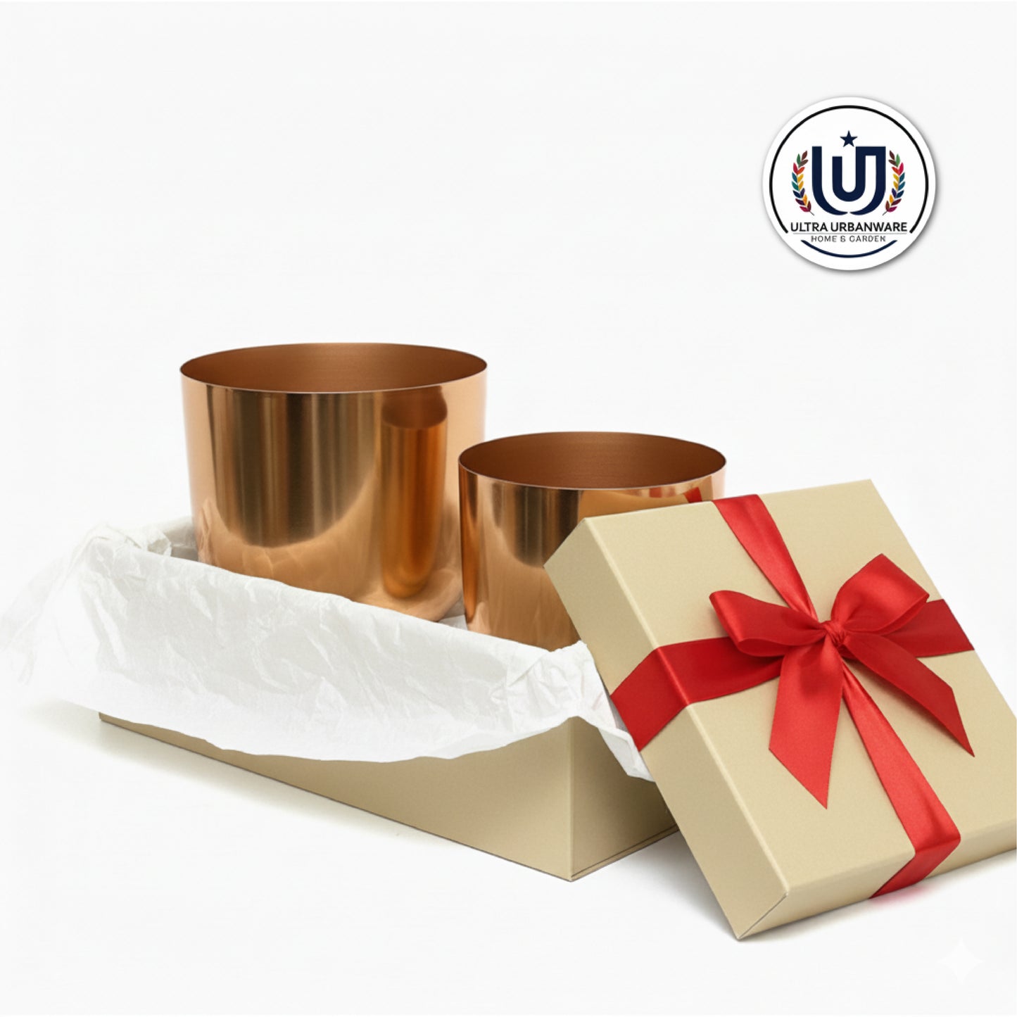 Decorative Metal Planter For Living Room/Balcony/Table Decor