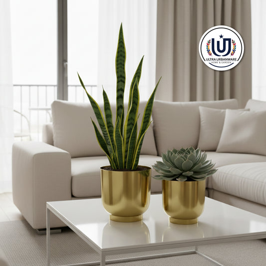 Decorative Metal Planter For Living Room/Balcony/Table Decor