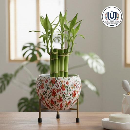 Designer Metal Planter with Triangular Iron Stand(White Floral)
