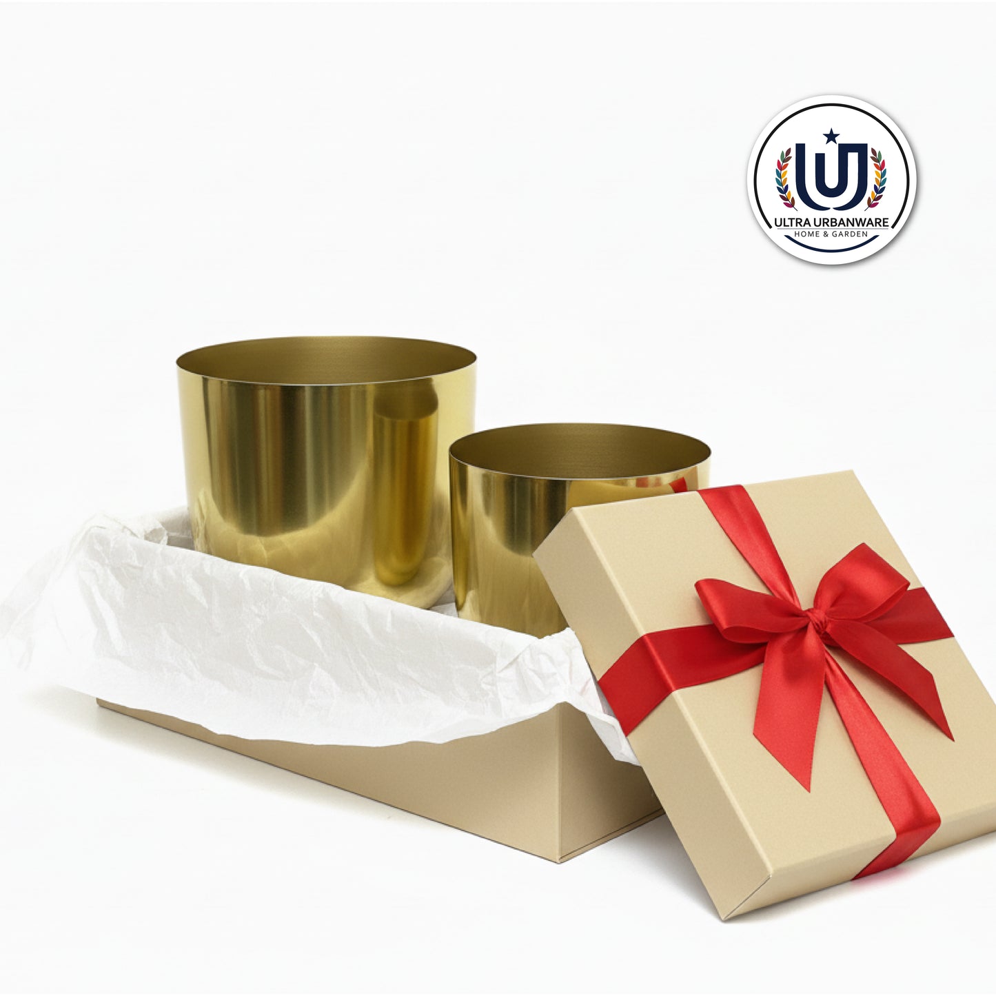 Decorative Metal Planter For Living Room/Balcony/Table Decor