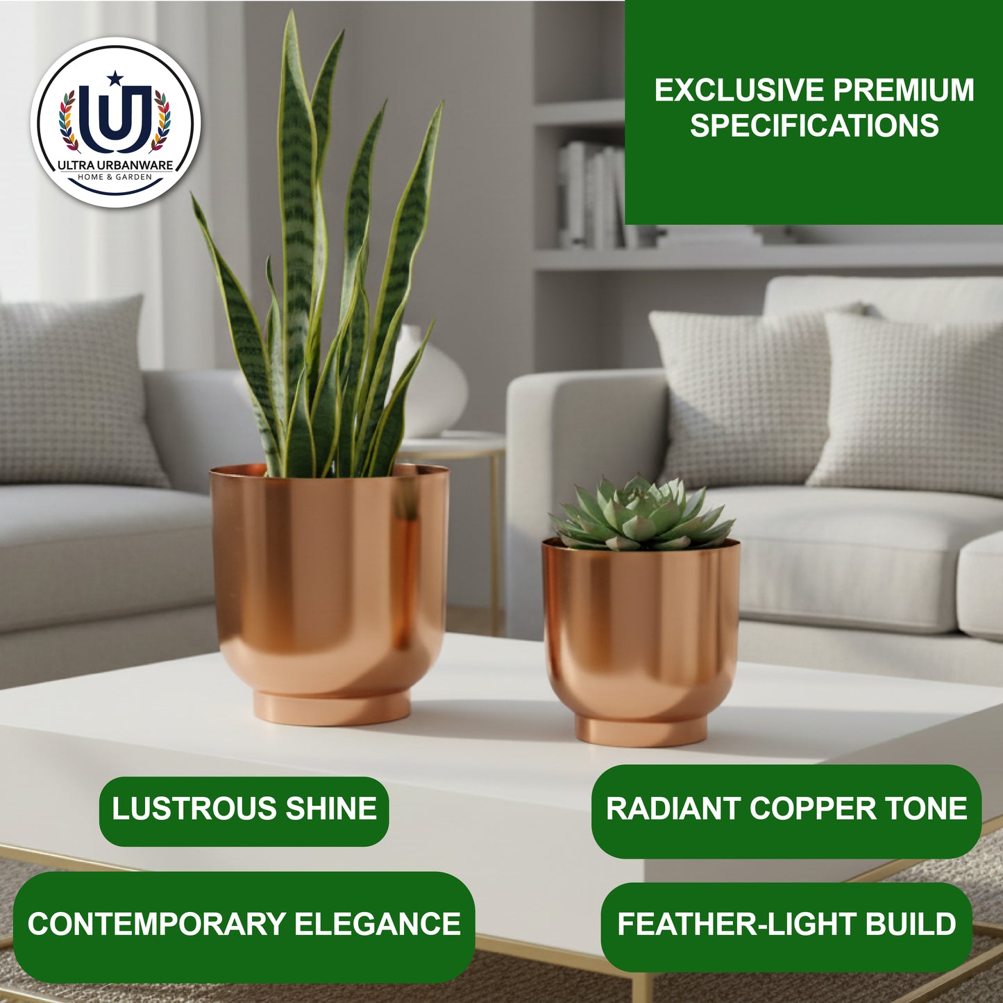 Decorative Metal Planter For Living Room/Balcony/Table Decor