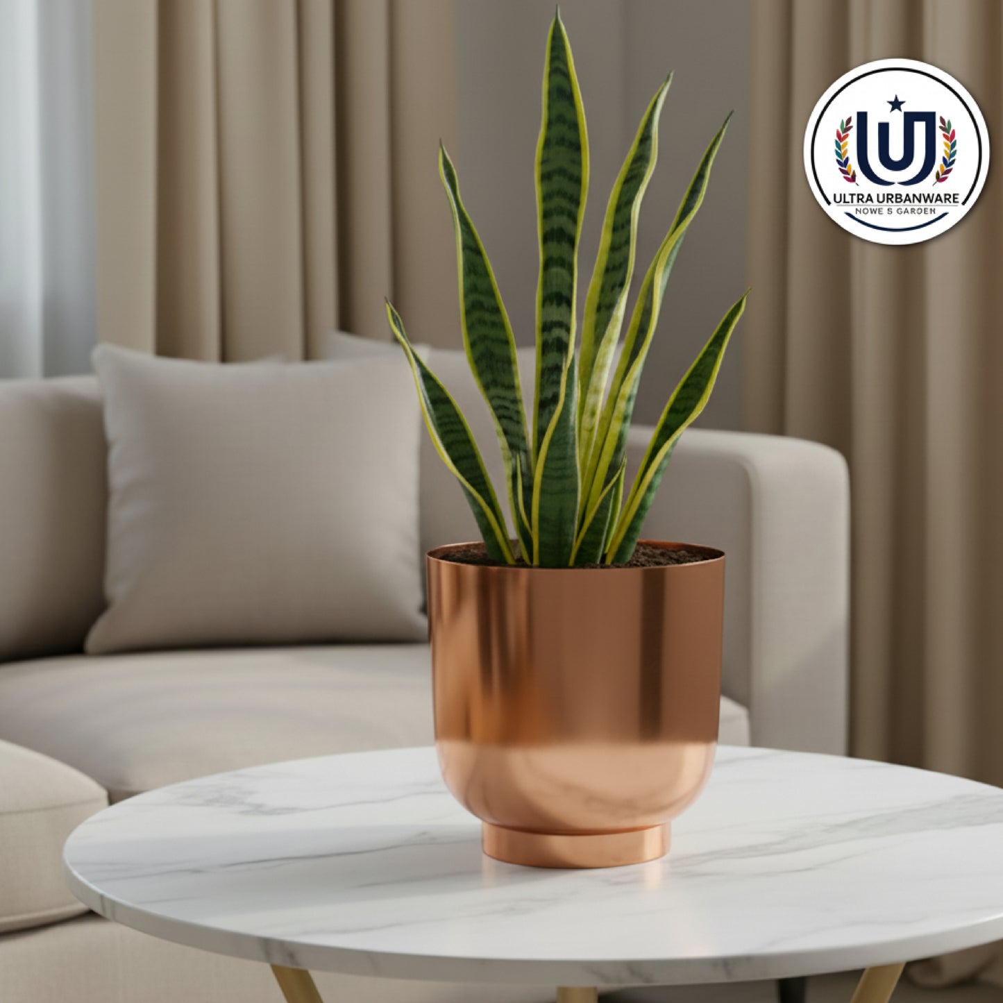 Decorative Metal Planter For Living Room/Balcony/Table Decor