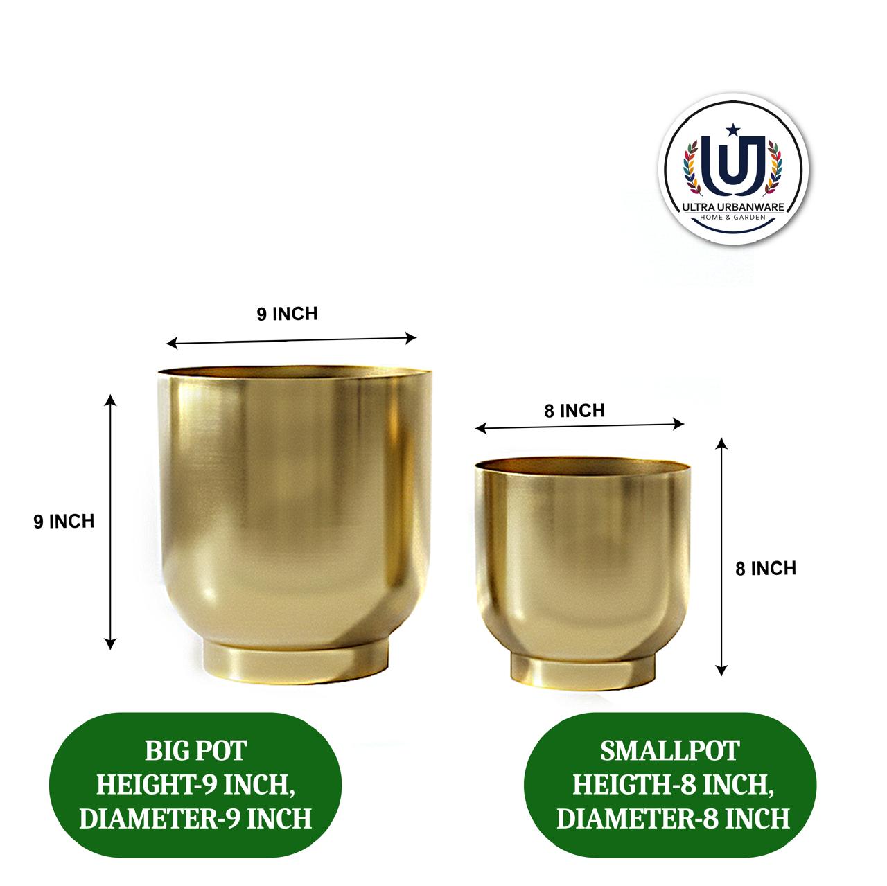 Decorative Metal Planter For Living Room/Balcony/Table Decor
