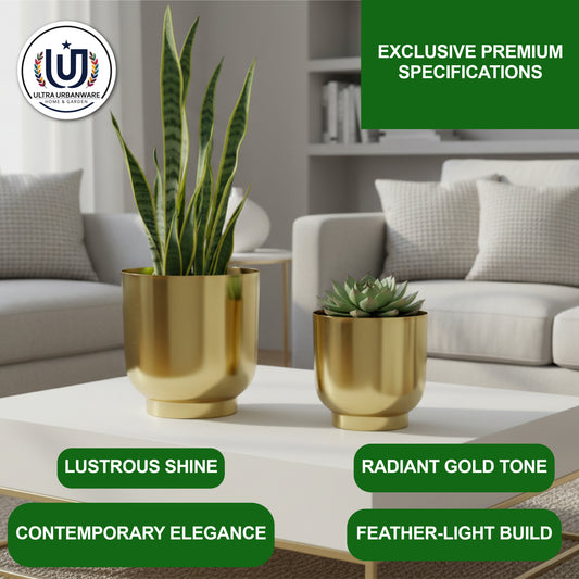Decorative Metal Planter For Living Room/Balcony/Table Decor